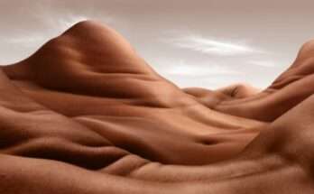cover paesaggi corpo