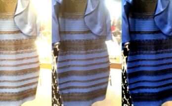 abito colore