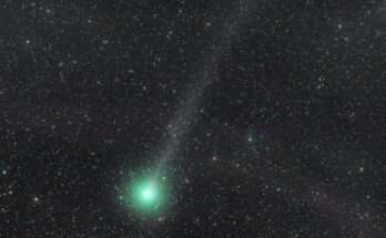 Lovejoy2014bis