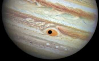 Giove macchia