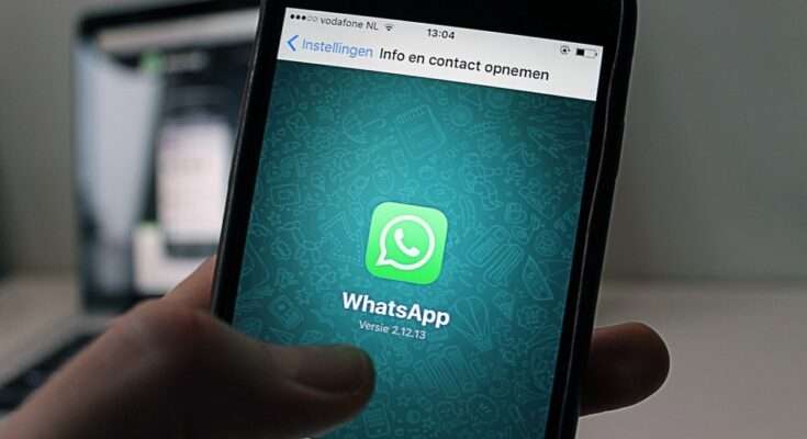 guida principianti WhatsApp