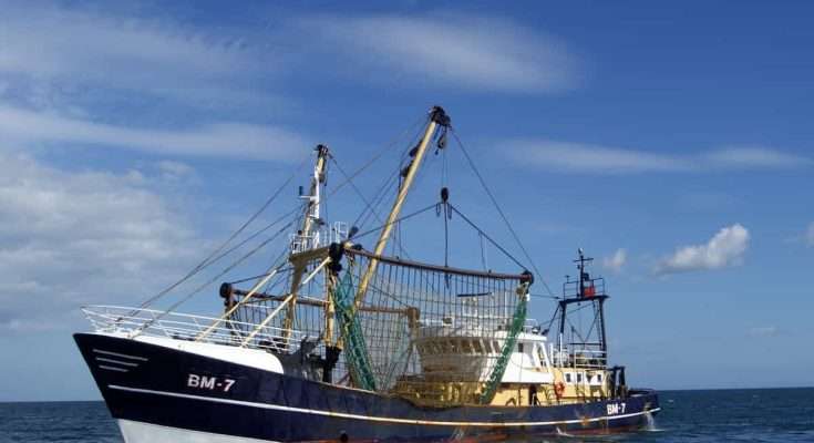 pesca sostenibile