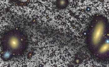 Fiume di stelle
