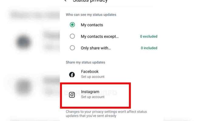 WhatsApp condivisione status