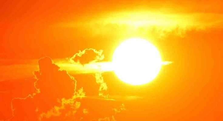 sole