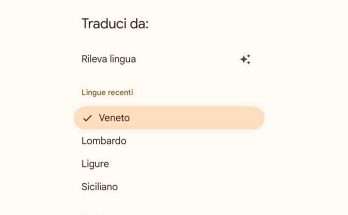 Google traduttore