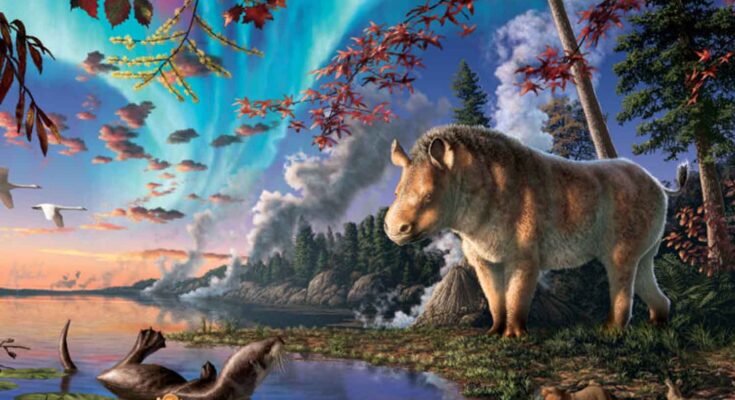 fossile di rinoceronte