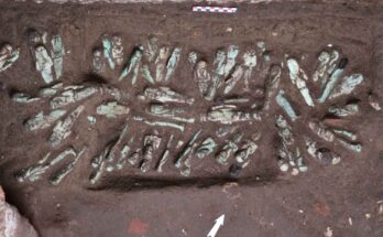 225 statuette scoperte a Tanis