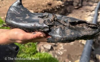 Scarpe romane giganti