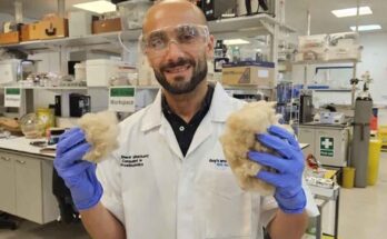 dentifricio alla cheratina