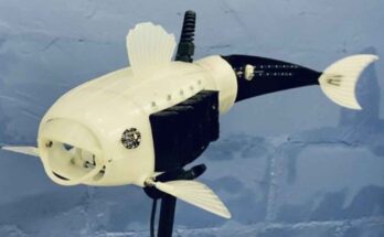 pesce robot mangia microplastiche