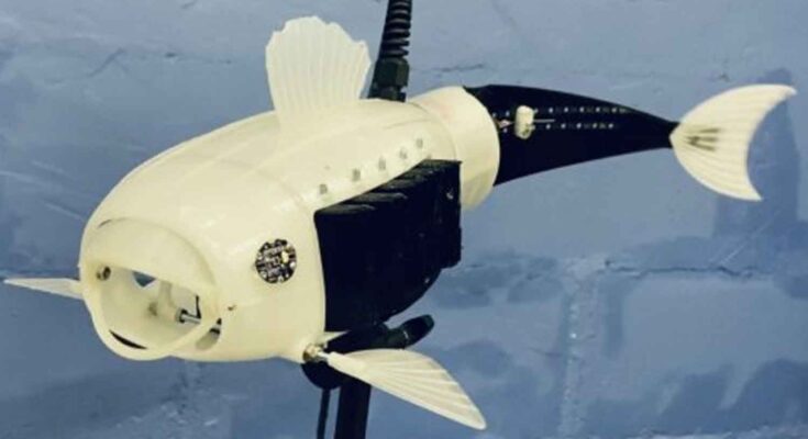 pesce robot mangia microplastiche