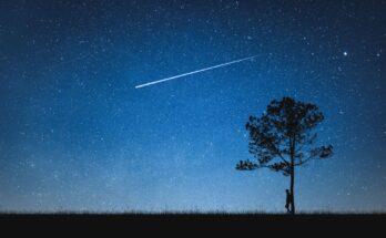 leonidi novembre 2025