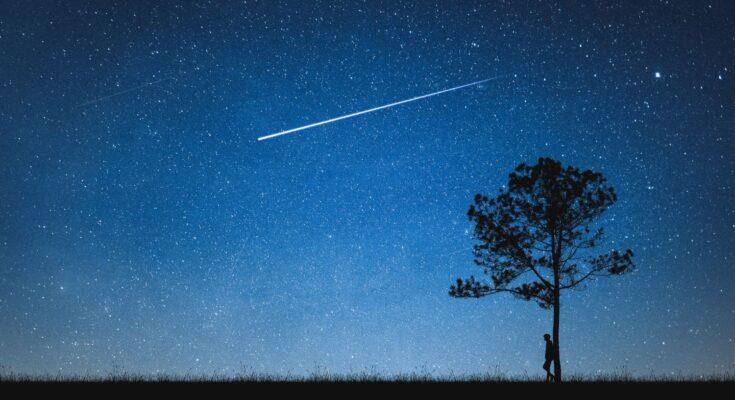 leonidi novembre 2025