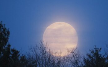 superluna del castoro