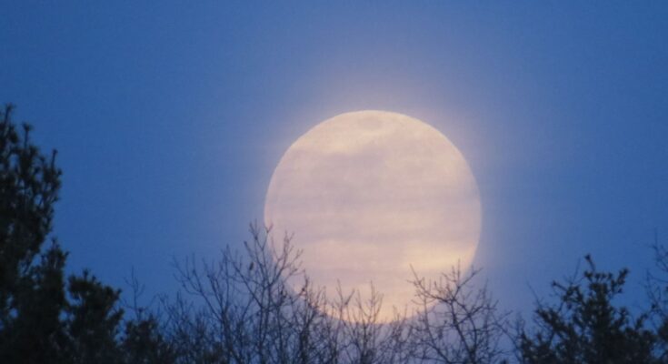 superluna del castoro