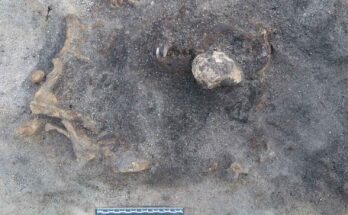 Carl Persson - Blekinge Museum