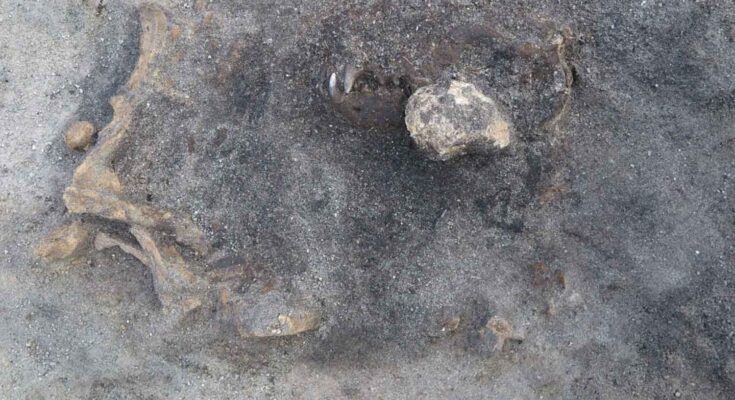 Carl Persson - Blekinge Museum