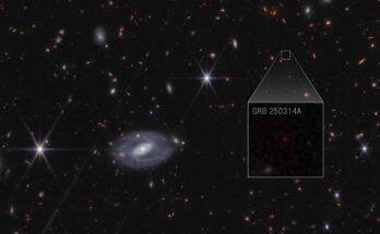 NASA Webb scopre la supernova più antica mai vista
