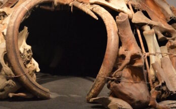 rifugi di sopravvivenza era glaciale