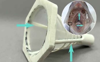 lavatrice filtro che può fermare le microplastiche