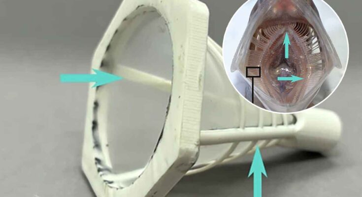 lavatrice filtro che può fermare le microplastiche