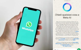 meta AI whatsapp