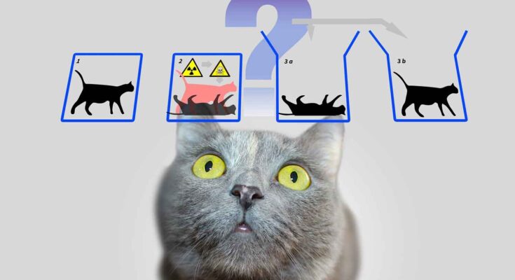 gatto di Schrödinger