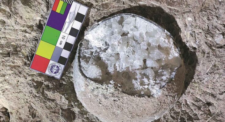 uova cristallizzate di dinosauro