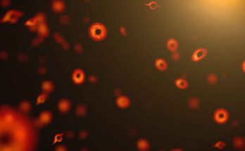 buco nero primordiale