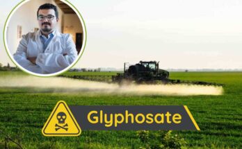 glifosato scienziato ramazzini licenziato