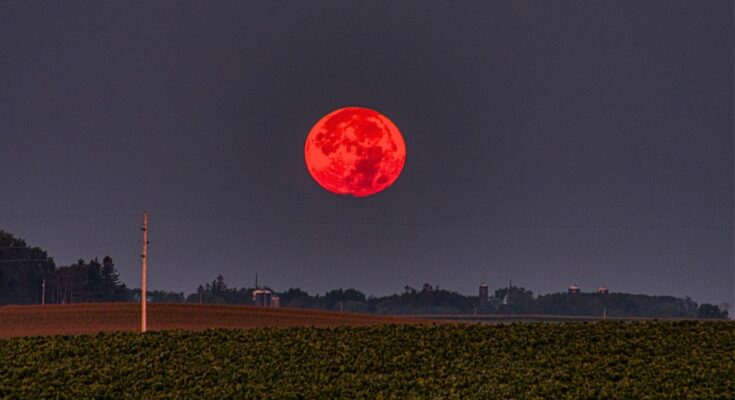 luna rossa del verme 3 marzo 2026