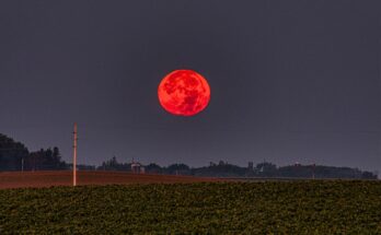 luna rossa del verme 3 marzo 2026