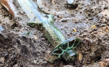 spada ottagonale Baviera