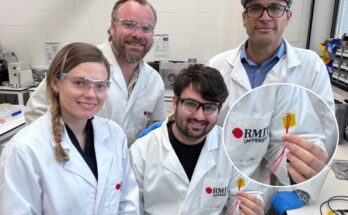 RMIT University nylon indistruttibile