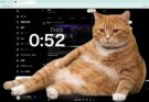 Contro lo scrolling compulsivo arriva il gatto gigante: l’add-on virale