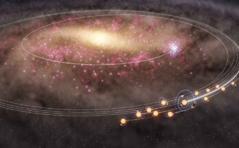 Soli e stelle gemelle