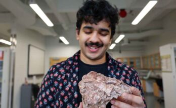 Ptychotherates bucculentus