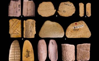 dadi nativi americani