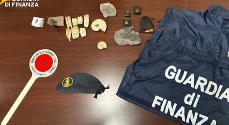 fossili sequestrati a Palermo