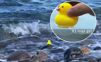 gel adesivo subacqueo