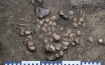 gioco preistorico di 6000 anni fa