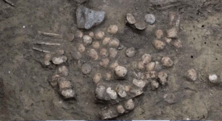 gioco preistorico di 6000 anni fa