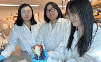 lavaggio della frutta