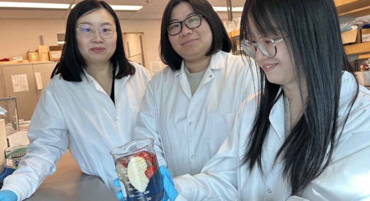 lavaggio della frutta