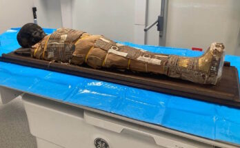 mummia piccolo egizio papiro segreto