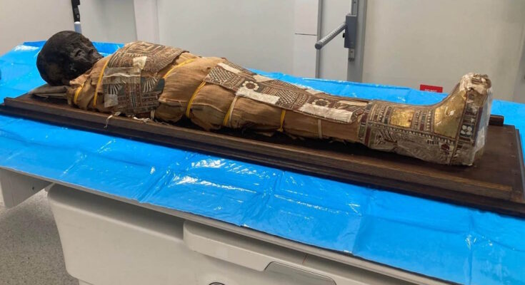 mummia piccolo egizio papiro segreto