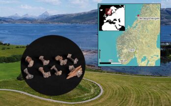 nave funeraria in Norvegia