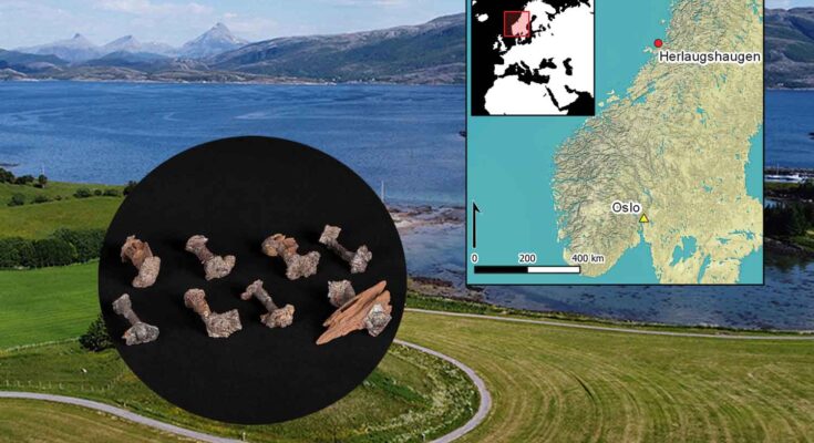 nave funeraria in Norvegia