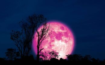 superluna rosa